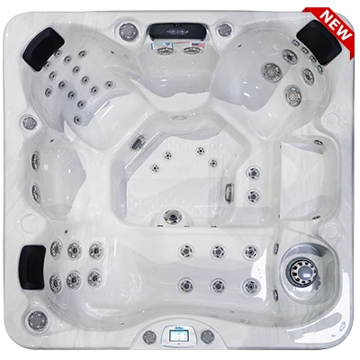 Avalon-X EC-849LX hot tubs for sale in Charlotte Hall