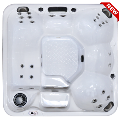 Hawaiian Plus PPZ-628L hot tubs for sale in hot tubs spas for sale Charlotte Hall