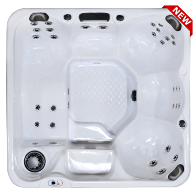 Hawaiian Plus PPZ-634L hot tubs for sale in hot tubs spas for sale Charlotte Hall