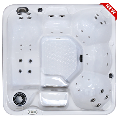 Hawaiian PZ-636L hot tubs for sale in hot tubs spas for sale Charlotte Hall